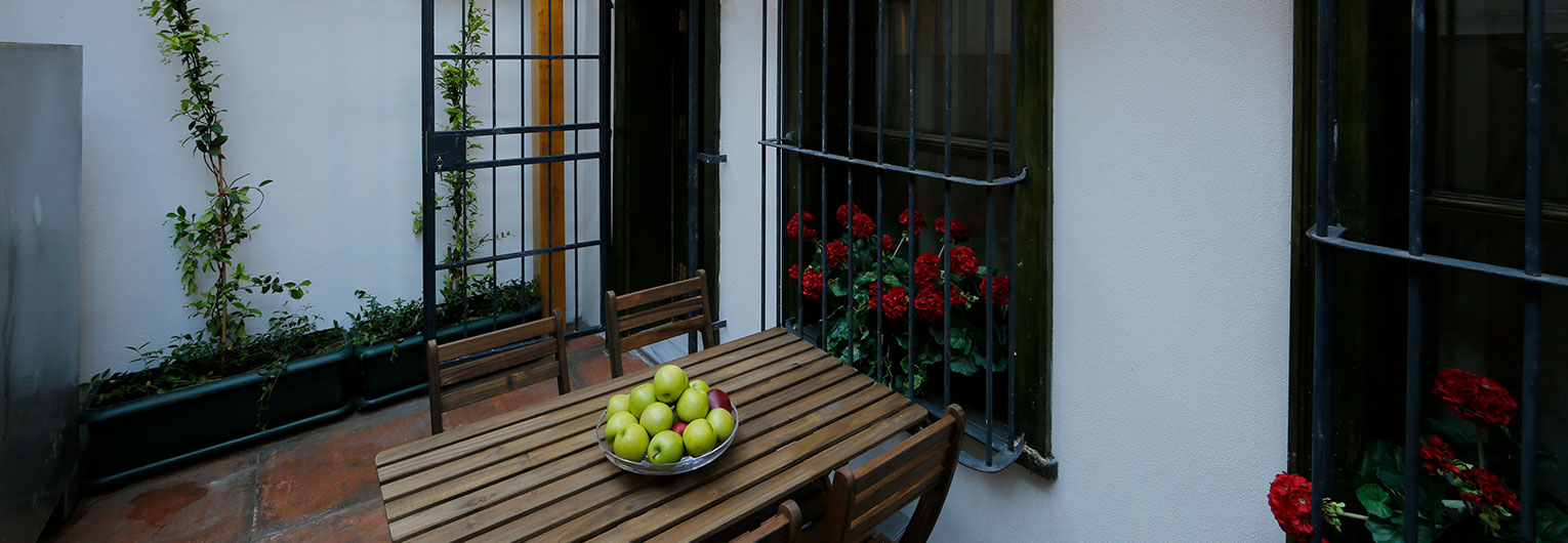 Garden Apartment